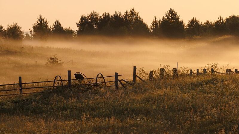 туман, север, рассвет, варзогоры, косилка, забор  фото превью