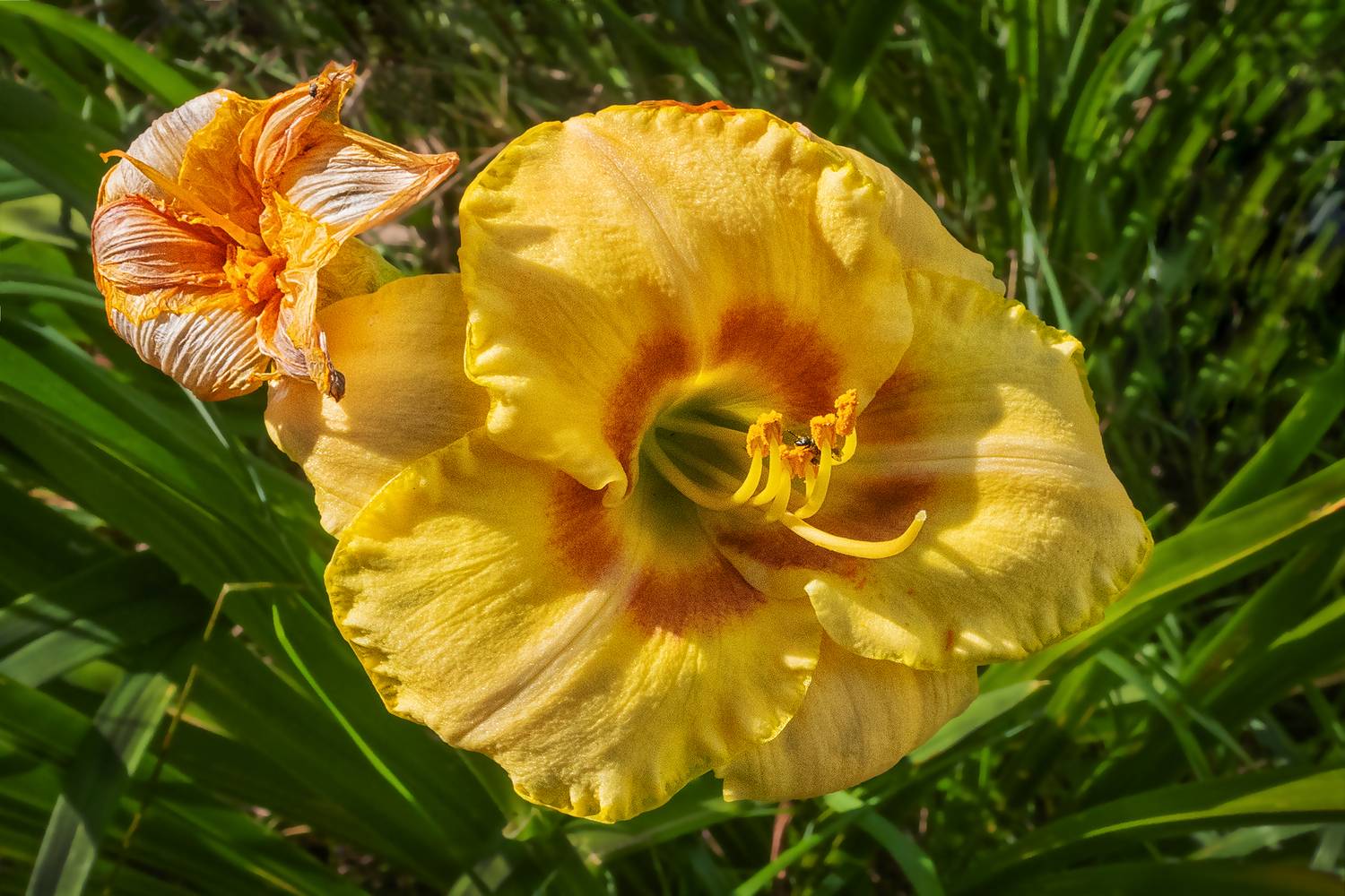 , Ушаков Валерий