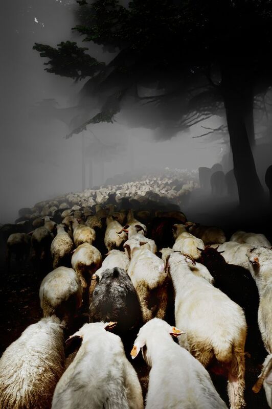 Road... фото превью