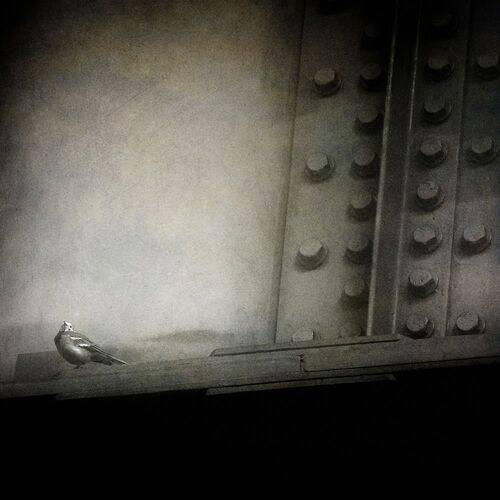 В городе жить.