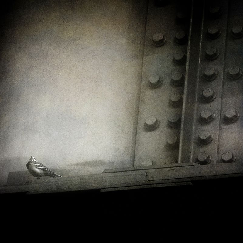 чб, город, пикториализм, минимализм В городе жить. фото превью