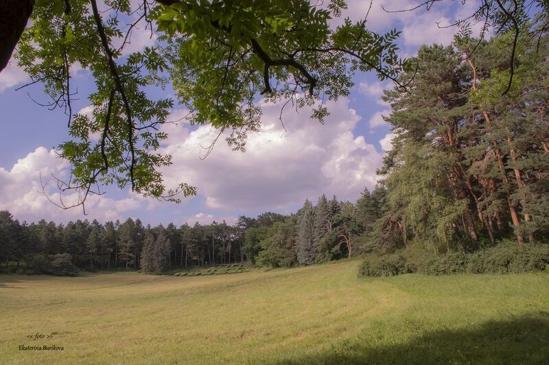 Кисловодский  парк. фото превью