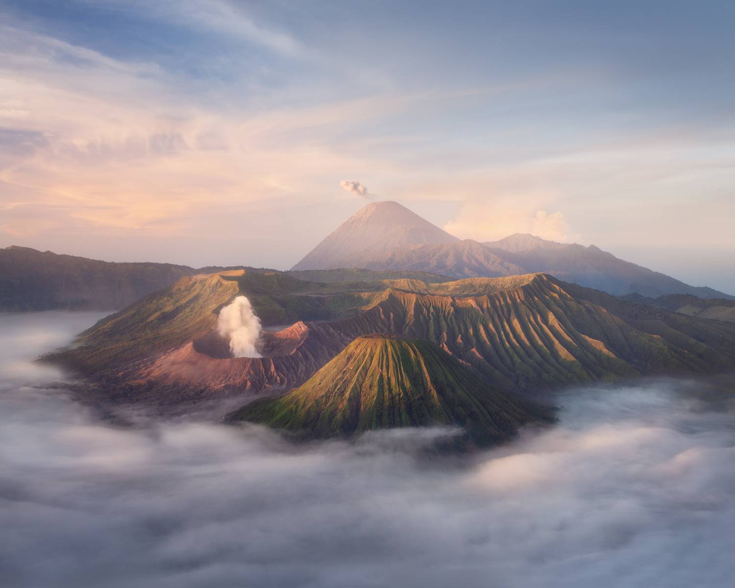 , Екатерина Сысоева