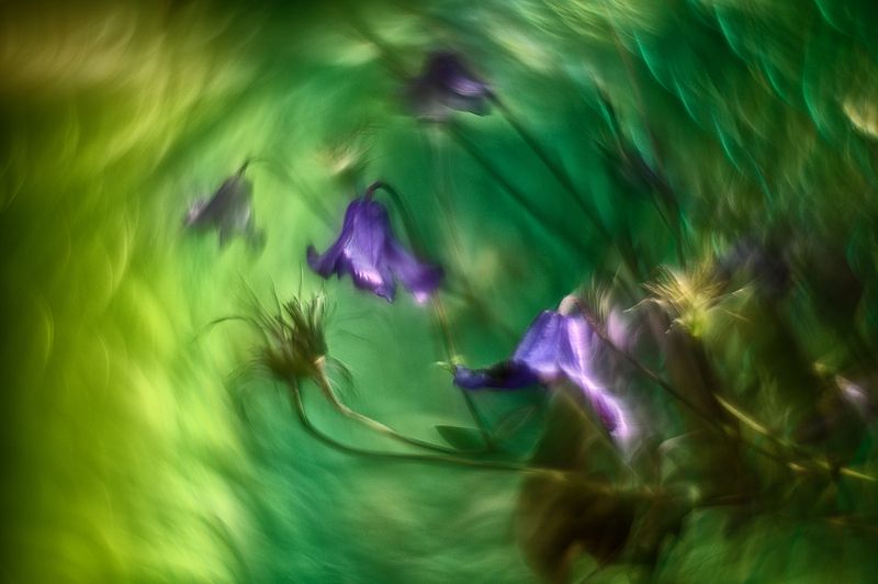 Портал фото превью