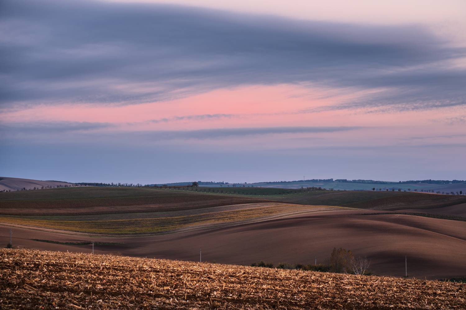 , Георгий Бычковский