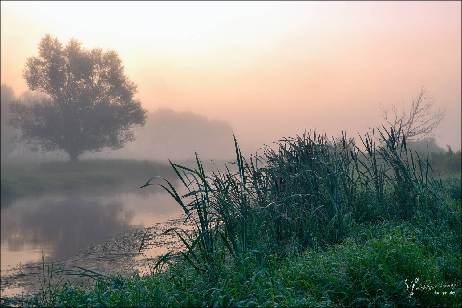 , Лобанов Роман
