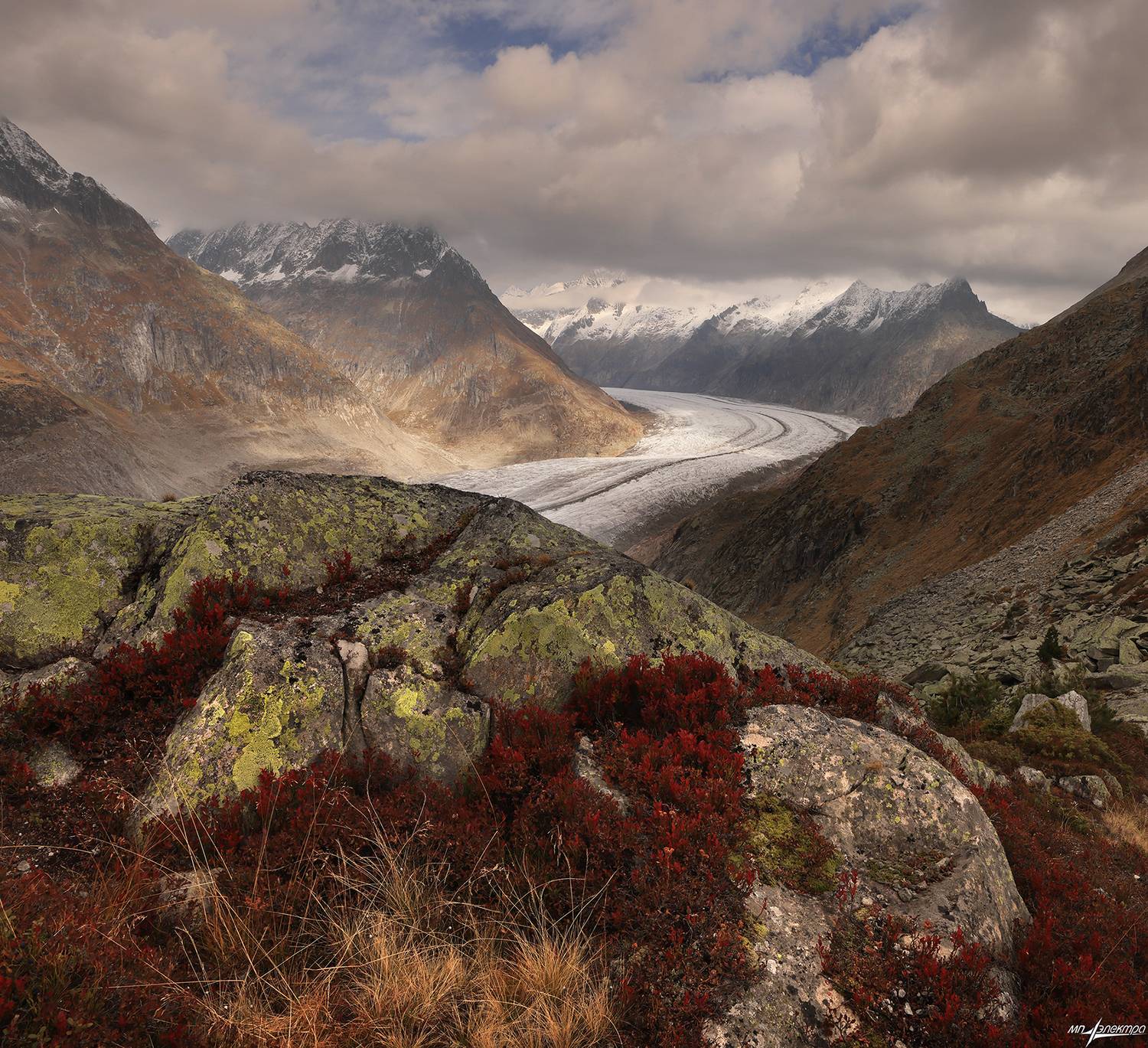 swiss, Матвеев Николай