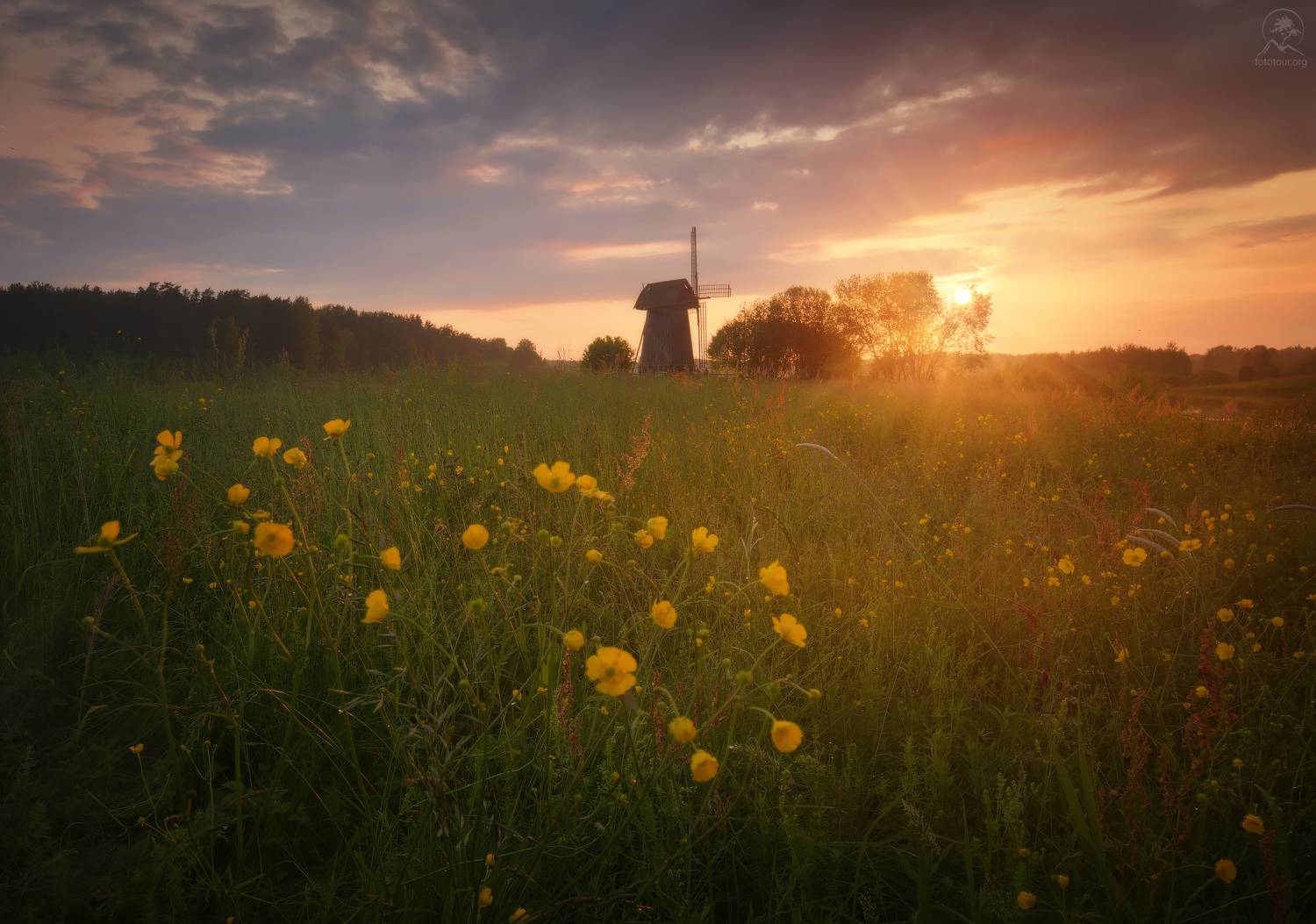 псковская, михайловское,  мельница, фототур по псковской области, Гордиенко Анатолий