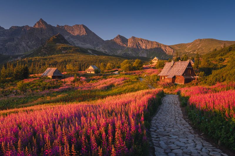 Summer in Tatras фото превью