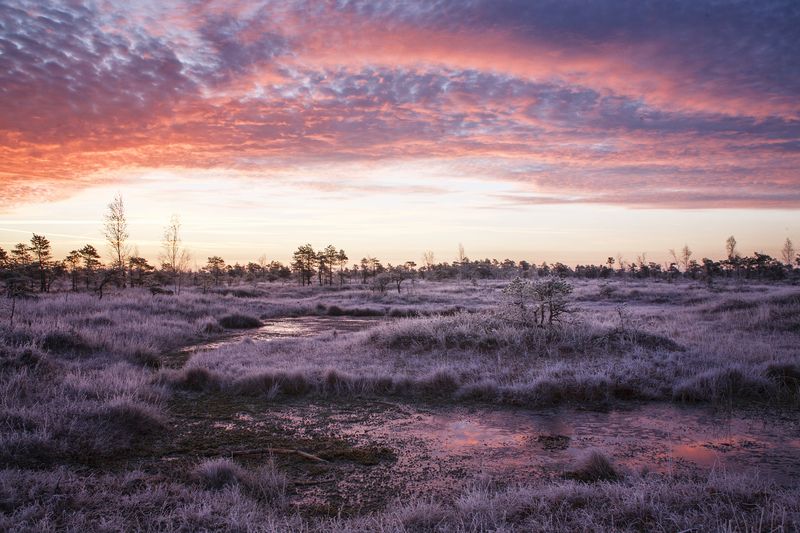 kemeri фото превью