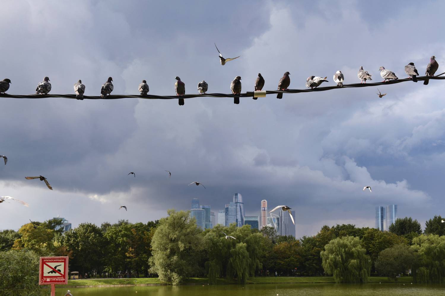 , Божена Пучко