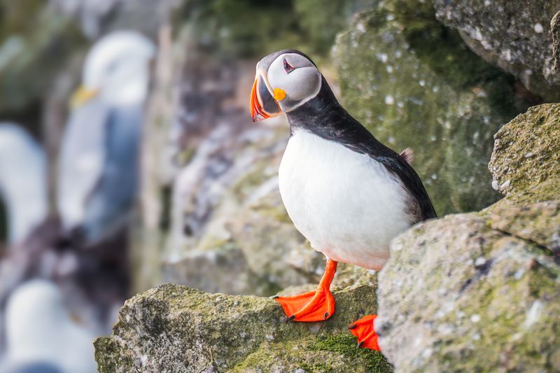 Тупик фото превью