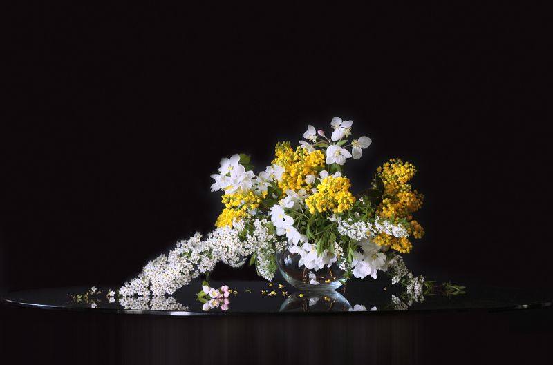 спирея, магония, ветреница, яблоневый цвет Весенняя зарисовка фото превью