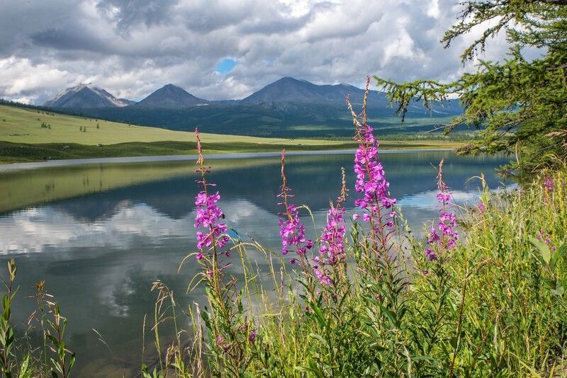 Спокойствие фото превью