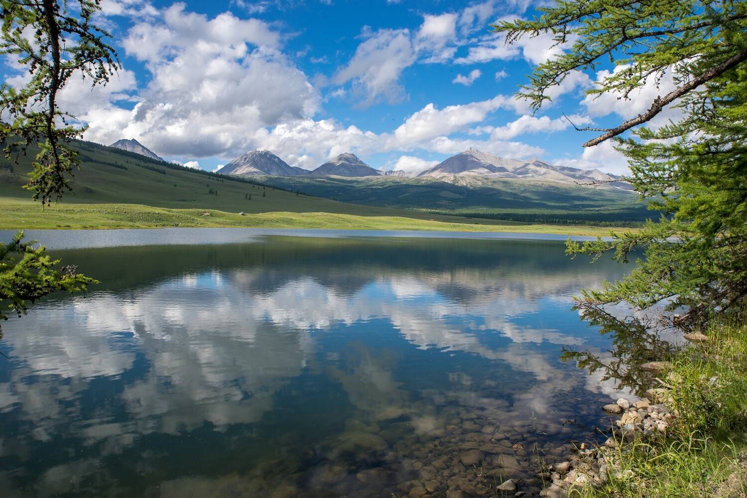 , Юрий Мальцев