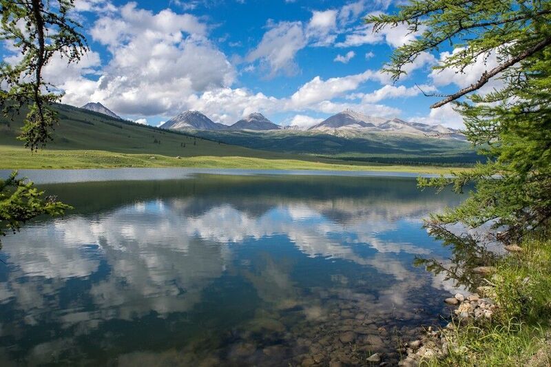 Среди лиственниц фото превью