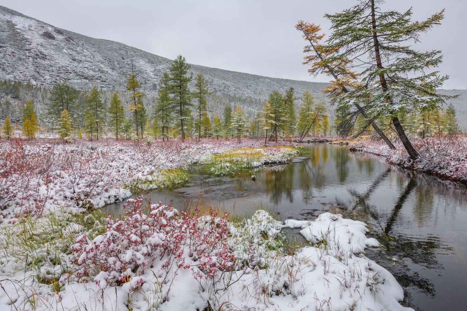 Озеро Джека Лондона, Евдокимов Максим