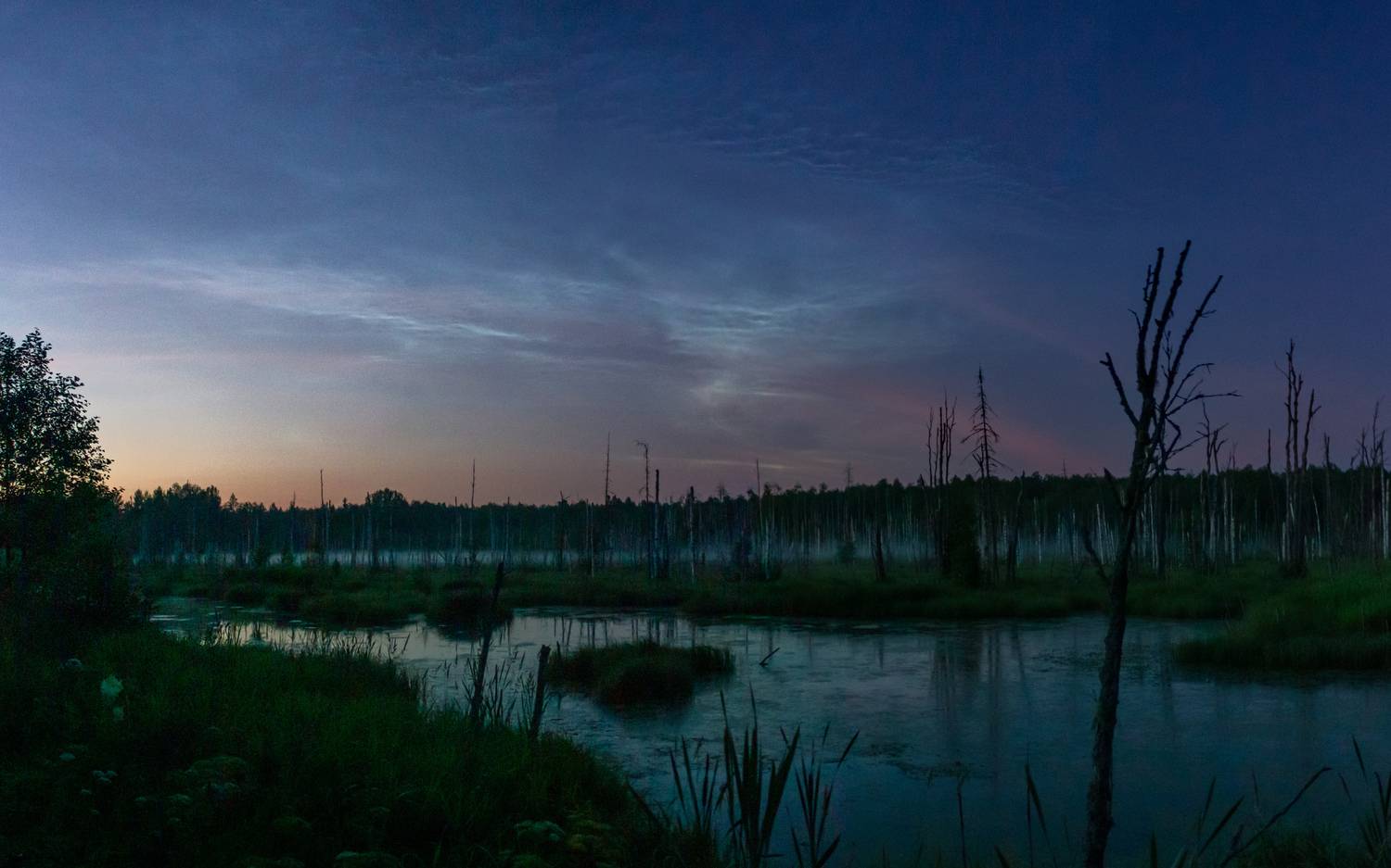 , Комарова Вера