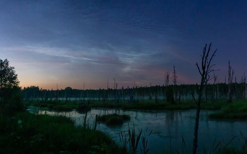 Серебристые облака над болотом фото превью