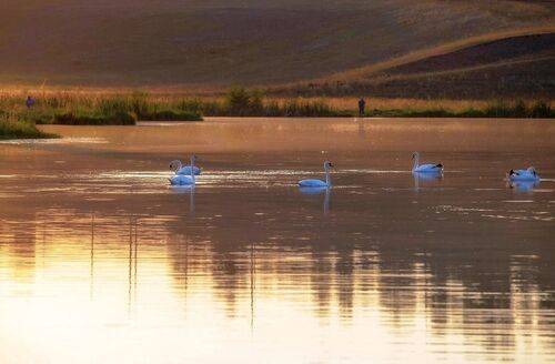 Вечерняя рыбалка