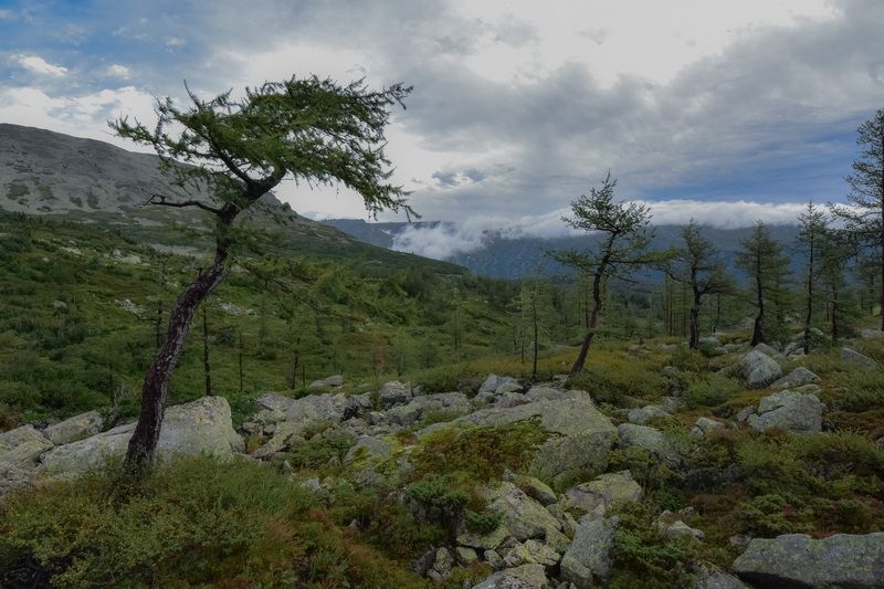 хакасия, кузнецкий алатау, золотая долина, пейзажи, лето, август, озеро, лиственницы, камни, горы Кузнецкий Алатау в августе фото превью