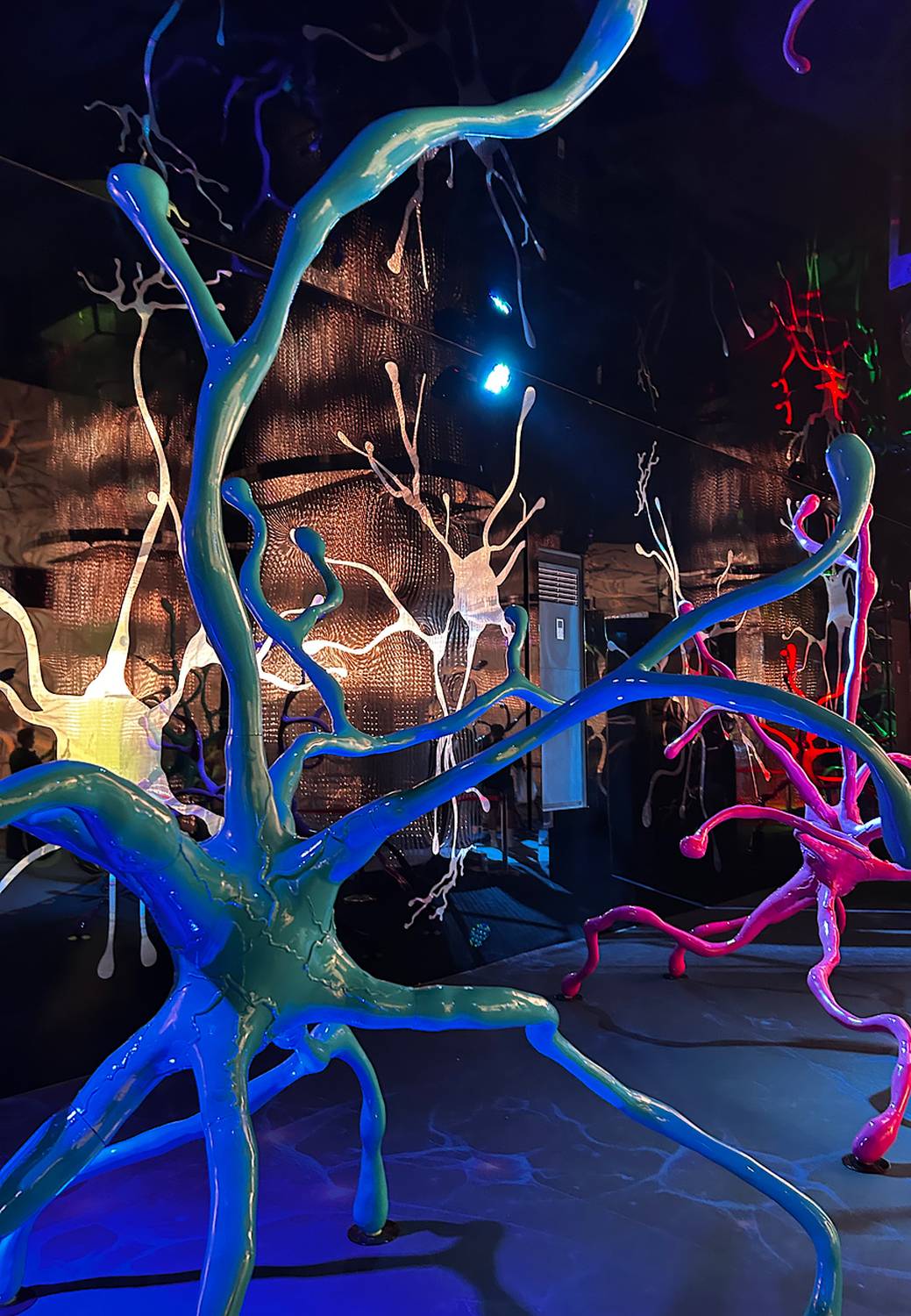 , Новикова Ольга