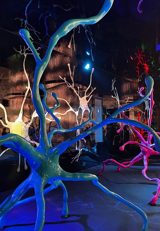 в нейронном лесу фото превью