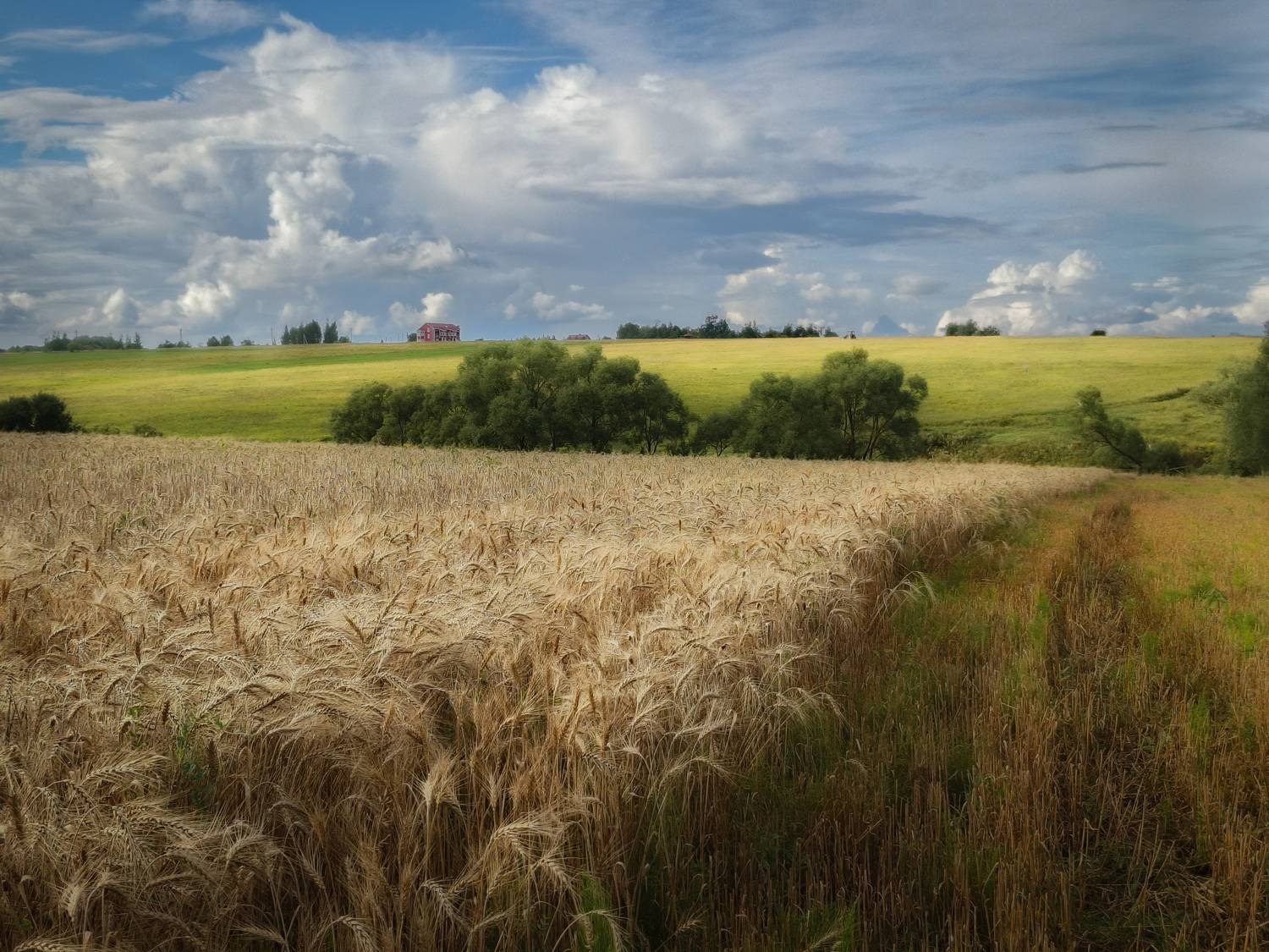 , Кондрашова Светлана