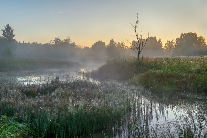 истра, старица, август Августовское утро на старице фото превью