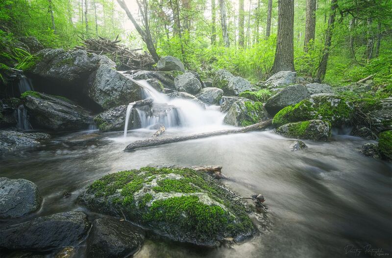 р. Сухое Убжогое фото превью