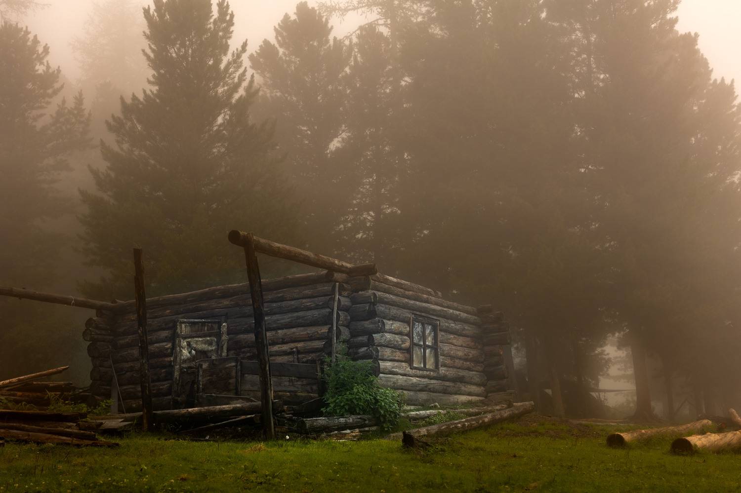 , Сильва Татьяна