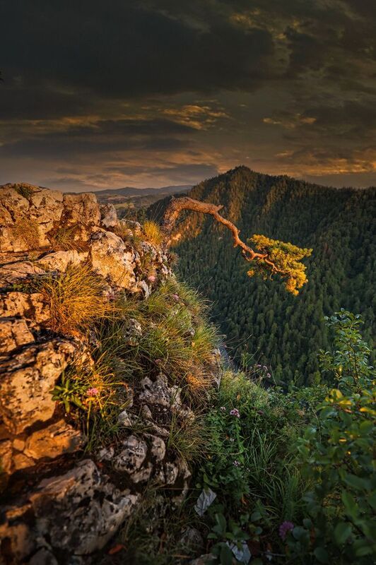 Sokolica фото превью