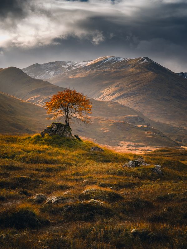 Soltier фото превью