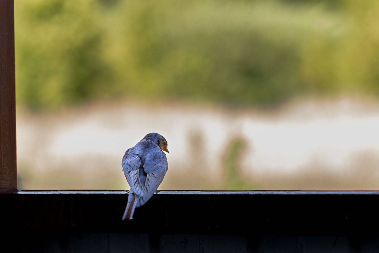 , Сильва Татьяна