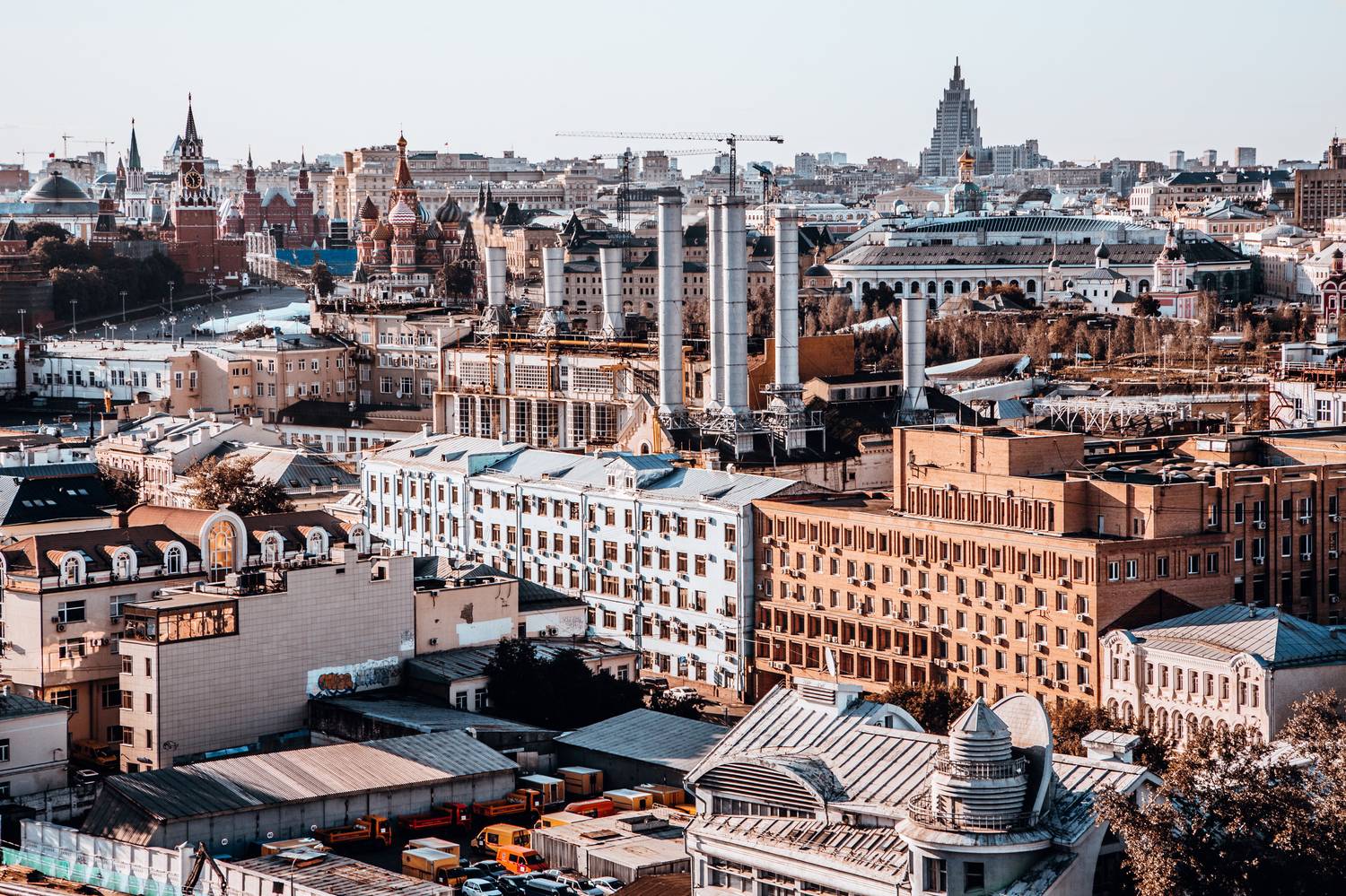 , Трепольский Дмитрий