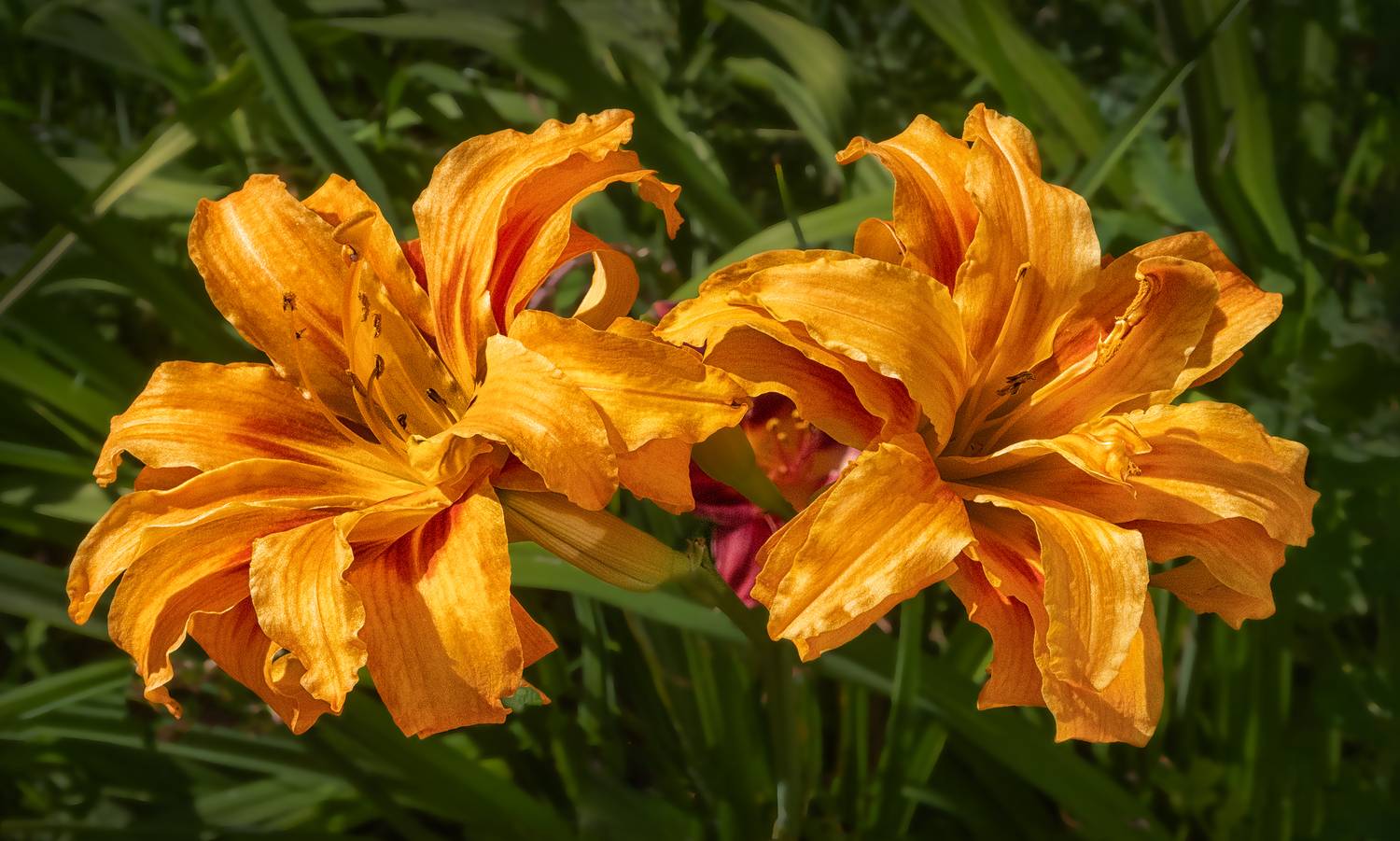 , Ушаков Валерий