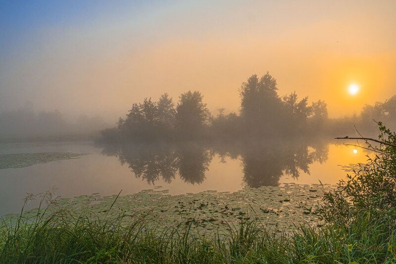 Летние туманы. фото превью