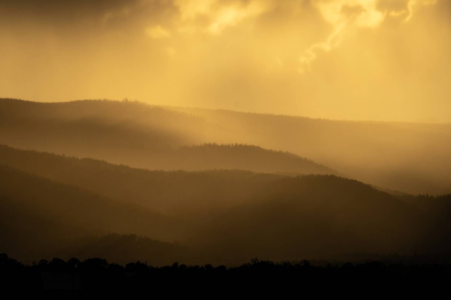 , Большаков Алексей