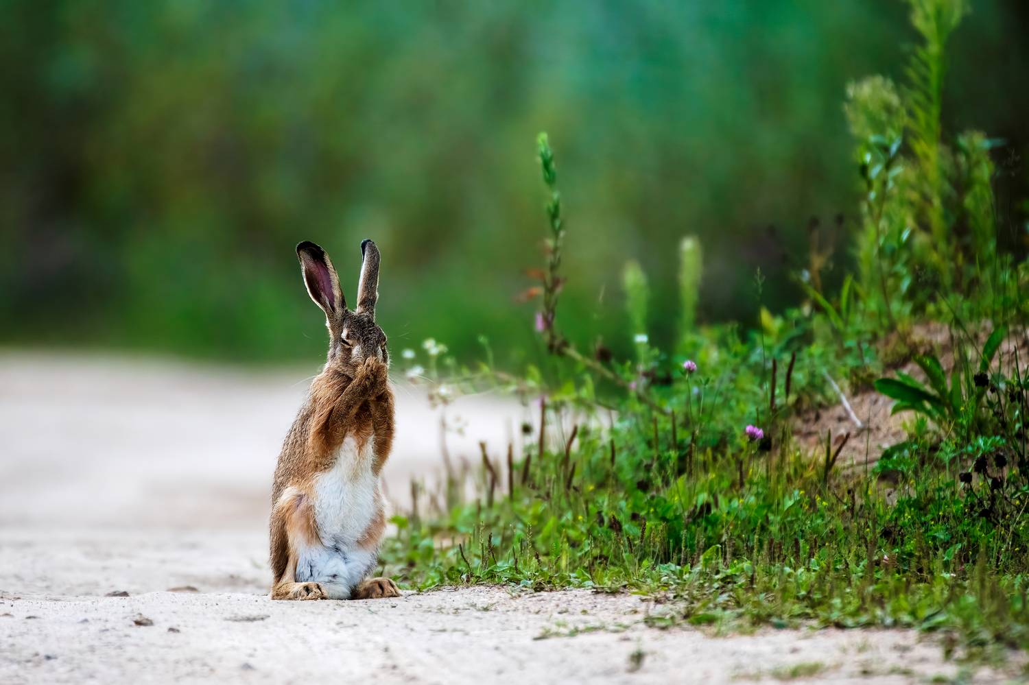 , Павел Ныриков