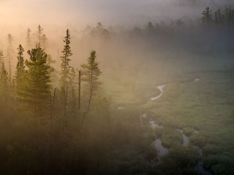 Югра, туман, дрон Туманное утро 3 фото превью