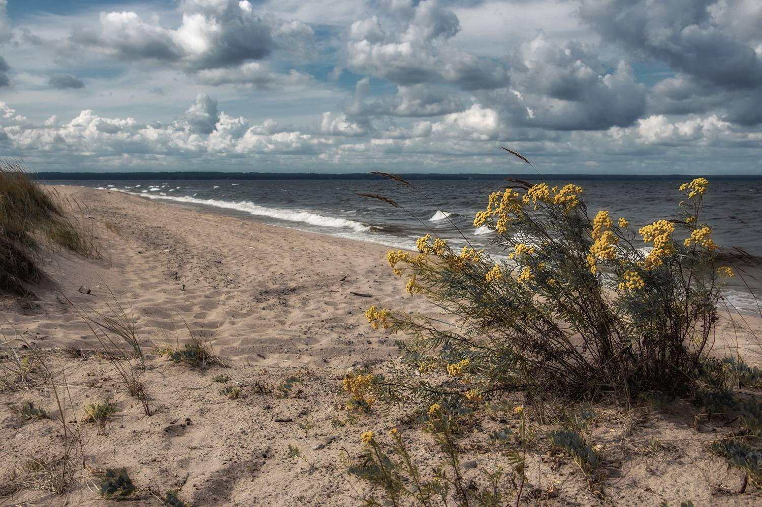 пейзаж, море, лето, ветер, небо, seascape, landscape, sea, Обидина Мария