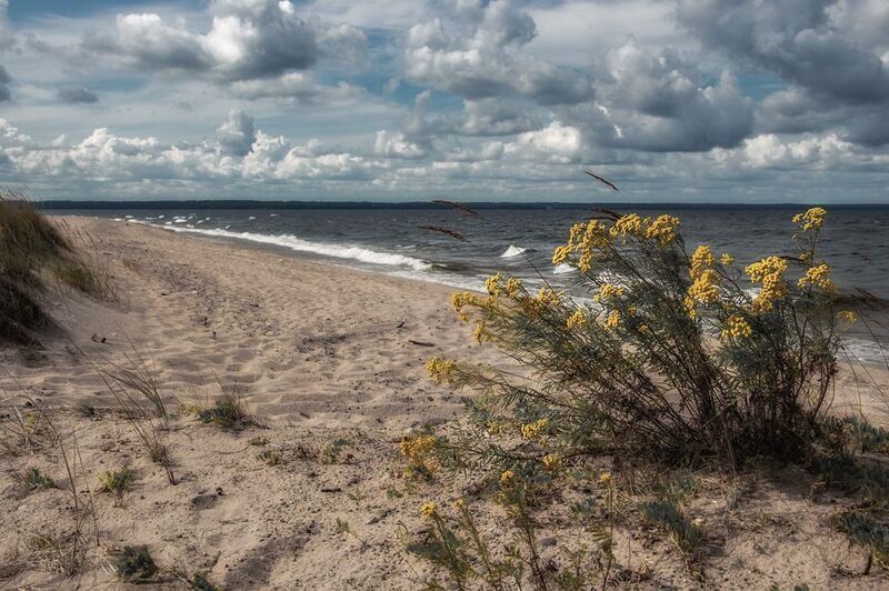 Безмятежность фото превью