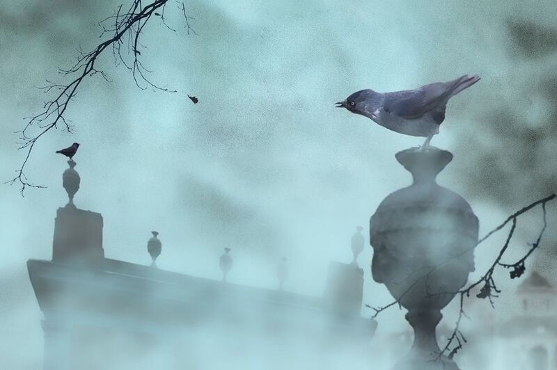 Усадьба Кусково фото превью