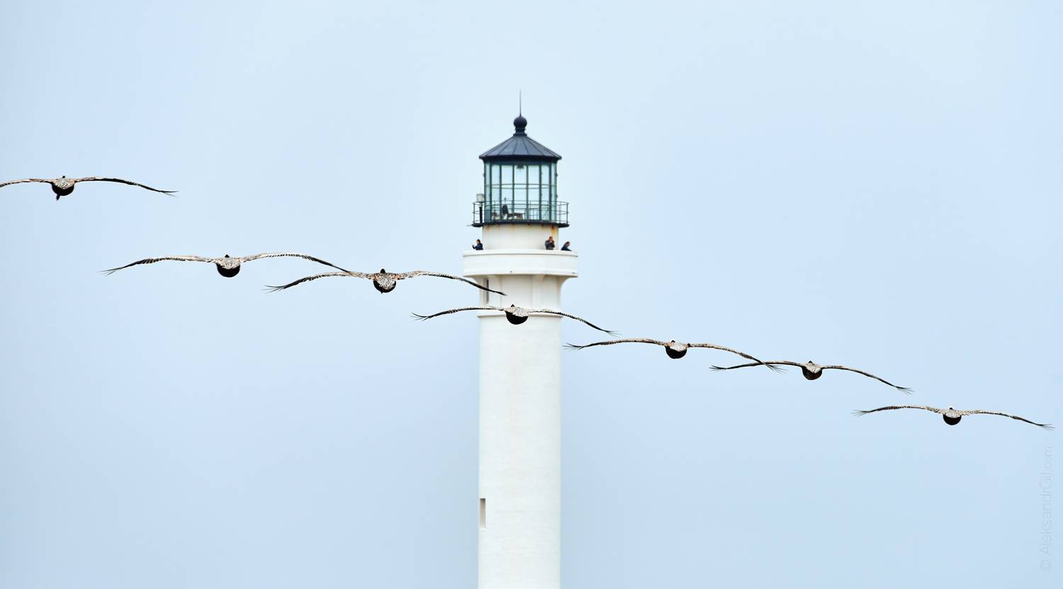 , Гиль Александр