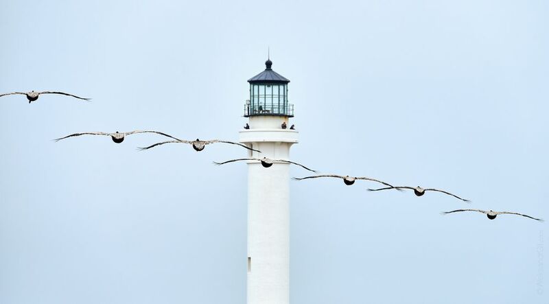 Маяк фото превью