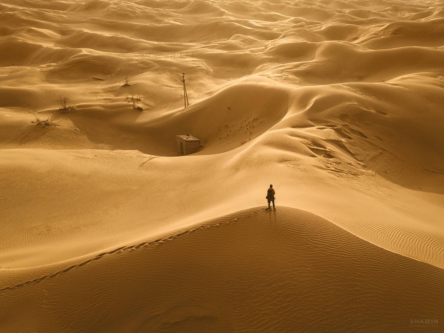 , Константин Шамин