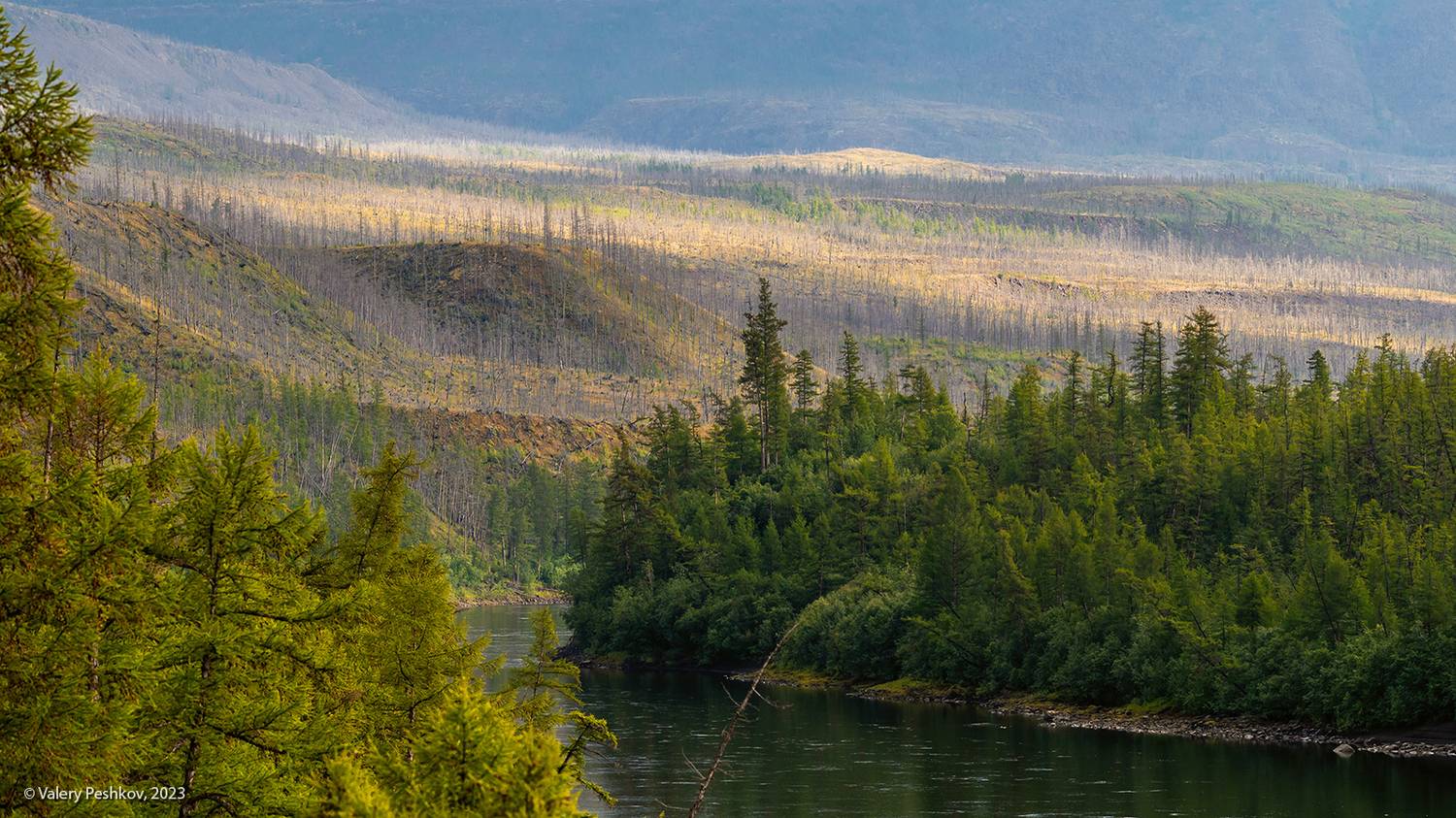 плато путорана, река, курейка, тайга, лиственницы, склоны, гарь, Пешков Валерий