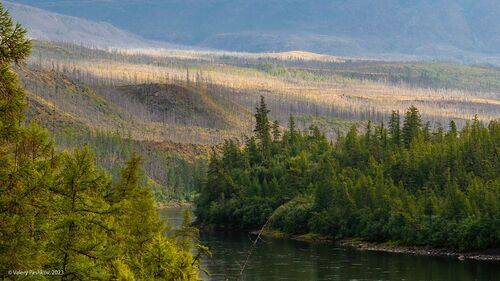 По берегам Курейки