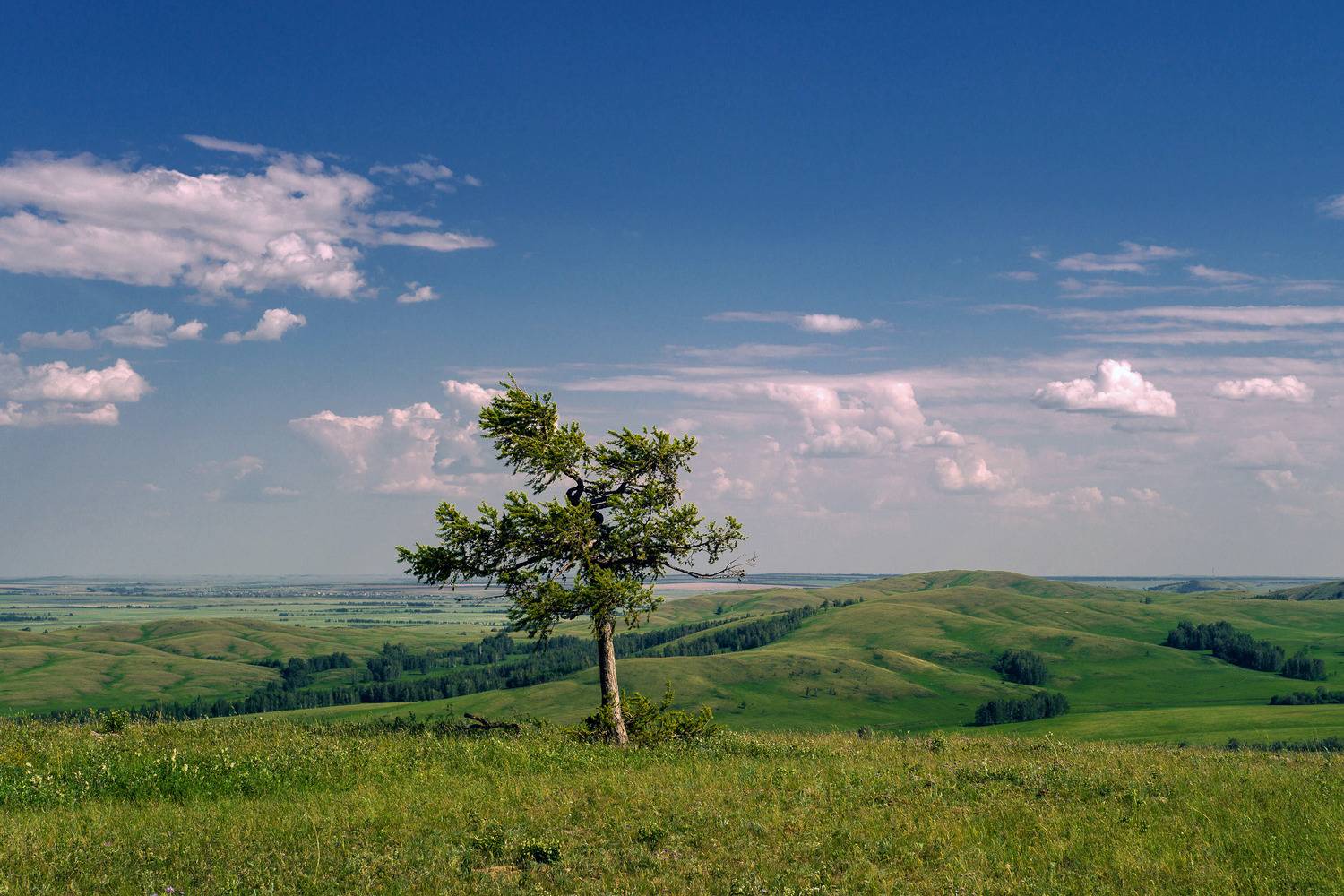 , Шустиков Дмитрий