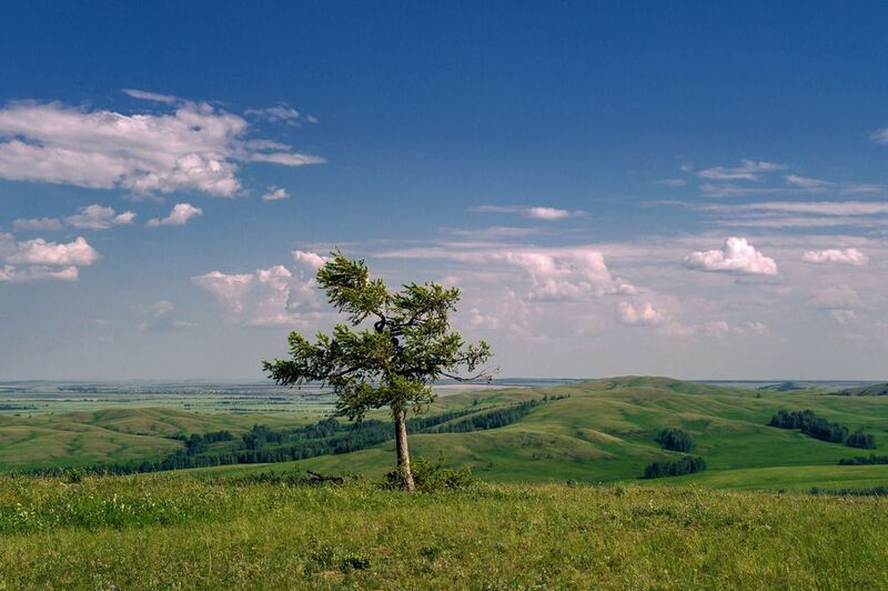 одна фото превью